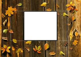 Herbst Hintergrund mit fallen Blätter. schwarz Tafel im Center mit Kopieren Raum zum Ihre Text. gemütlich Herbst immer noch Leben. zurück zu Schule Konzept. foto