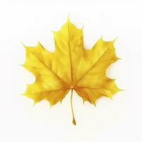 Gelb Ahorn Blatt Blätter auf Weiß Hintergrund, generieren ai foto