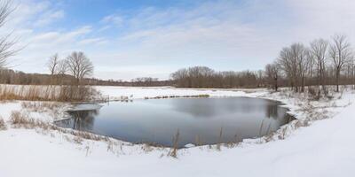 Winter Landschaft mit schneebedeckt Pfad ai generiert foto