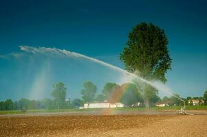 Wasser Jet zu bewässern landwirtschaftlich Felder foto