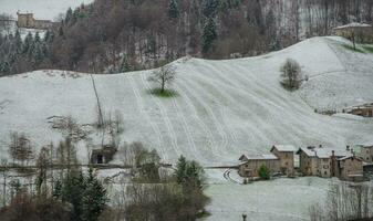 Baum mit schneebedeckt Wiese foto