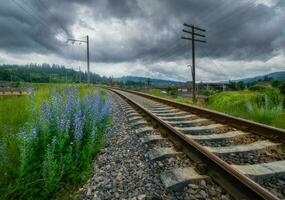 ländlich Eisenbahn im Berge und Blau Blumen im bedeckt Tag foto