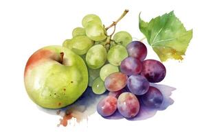 Bündel von Trauben und Apfel auf Weiß Hintergrund, Aquarell Illustration. ai generiert. foto