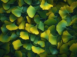 Ginkgo biloba Blätter dunkel Hintergrund erstellt mit generativ ai Technologie foto
