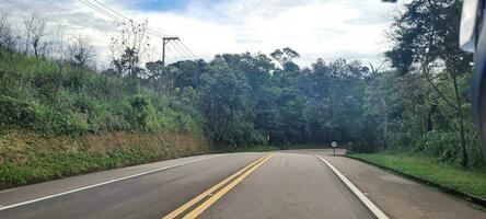 schön Straße mit Wald um foto