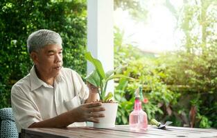 Ein glücklicher und lächelnder asiatischer alter älterer Mann pflanzt nach seiner Pensionierung in einem Heim ein Hobby. konzept eines glücklichen lebensstils und einer guten gesundheit für senioren. foto