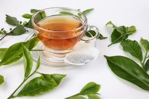 anders Typen von frisch roh Grün Tee Blatt Blume Knospe transparent Glas Teetasse Flüssigkeit Tee Tasche auf Weiß Hintergrund foto