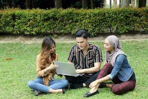 jung asiatisch malaiisch Mann Frau draussen Grün Park sitzen auf Gras verwenden Studie diskutieren Laptop Punkt Show foto