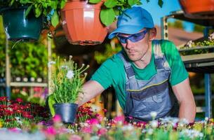 Gärtner pflücken Blumen foto