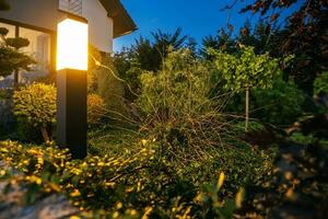 LED Hinterhof Beleuchtung erleuchten Garten Pflanzen foto