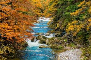 szenisch Herbst fallen Laub foto