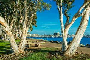 san Diego direkt am Wasser Park foto