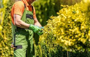 Fachmann Landschaftsgestalter Beschneidung Garten Pflanze foto