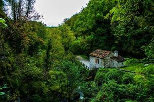 alte Wassermühle im Wald foto