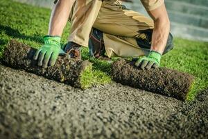 natürlich Gras Rasen Installateur Gartenarbeit Thema foto