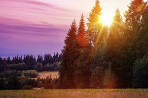 szenisch Wald Kante Sonnenuntergang foto