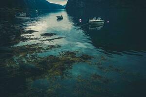 norwegisch Fjord Reflexionen foto