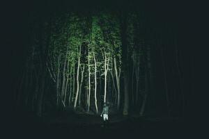 Männer Innerhalb dunkel Wald mit mächtig LED Taschenlampe foto