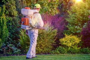 Pest Steuerung Garten Sprühen foto