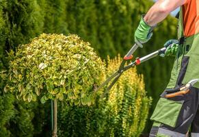 Garten Bäume Gestaltung durch kaukasisch Fachmann Gärtner foto