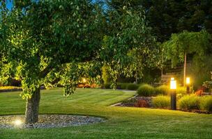 schön Landschaft Garten mit draussen Beleuchtung foto