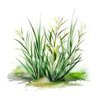 Aquarell Grün Gras. Illustration ai generativ foto