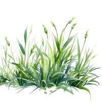 Aquarell Grün Gras. Illustration ai generativ foto