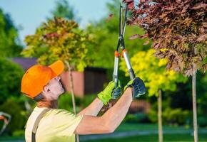 Sommer- Garten funktioniert foto