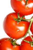 Tomaten Frische Nahansicht foto