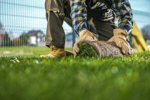 rollen Über natürlich Gras Rasen im ein Hinterhof Garten foto