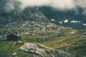 roh norwegisch Landschaft foto