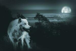 voll Mond Wolf jagen foto