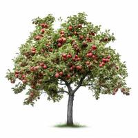 Apfel Baum isoliert. Illustration ai generativ foto