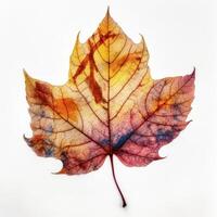 Herbst Blatt isoliert. Illustration ai generativ foto