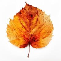 Herbst Blatt isoliert. Illustration ai generativ foto