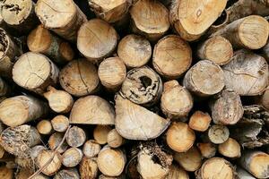 Holz lange Bauholz Stapel zum Holzkohle Fabrik Hintergrund foto