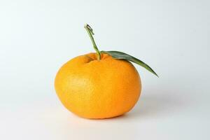 Riese Mandarin Orange foto