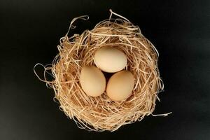 Eier im ein Nest Korb auf schwarz Hintergrund foto