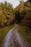 Straße mit grünen Bäumen im Berg foto