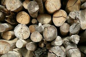 Holz lange Bauholz Stapel zum Holzkohle Fabrik Hintergrund foto