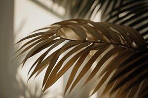 Botanik Hintergrund von Palme Blätter mit Schatten Illustration. generiert ai foto