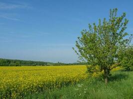 Frühlingszeit in Westfalen foto