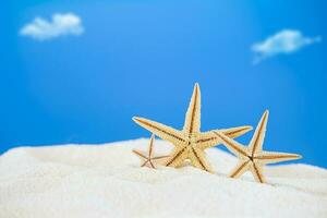 Seestern auf Weiß Sand mit Himmel. ausruhen, reisen, Sommer- im heiß Länder. Kopieren Raum foto