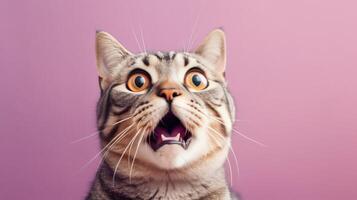 überrascht Katze auf Pastell- Hintergrund. Illustration ai generativ foto