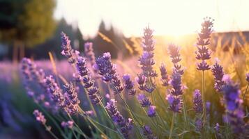 Lavendel Blume Feld. Illustration ai generativ foto