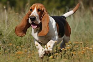 Basset hetzen Laufen im das Feld von Löwenzahn ai generiert foto