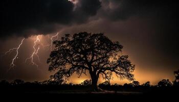 Silhouette von Baum zurück zündete durch dramatisch, launisch Himmel beim Dämmerung generiert durch ai foto