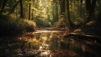 still Szene von Herbst Wald mit fließend Wasser und Betrachtung generiert durch ai foto