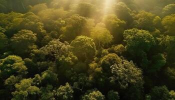 Grün Wald Wiese, Herbst Blätter, Berg Sonnenuntergang, Wasser Welle Farben generiert durch ai foto