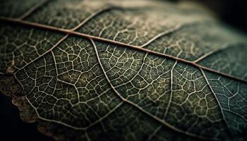 Blatt Vene Symmetrie im beschwingt Grün Natur generiert durch ai foto